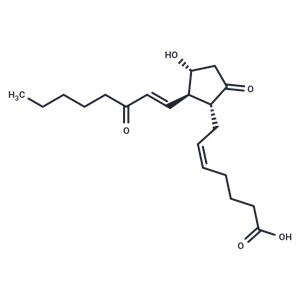 15-keto-Prostaglandin E2