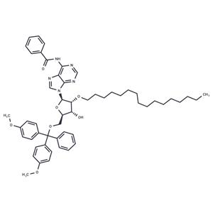 N6-Bz-5’-O-DMTr-2’-O-hexadecanyl adenosine