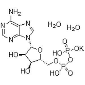 Adenosine 5′-Diphosphate Monopotassium Salt ;ADP-K; 5‘-ADP-K