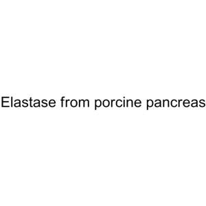 Elastase from porcine pancreas