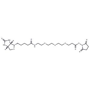 Biotin-PEG3-NHS ester