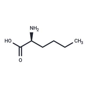 L-Norleucine