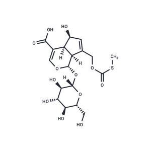 Paederosidic acid