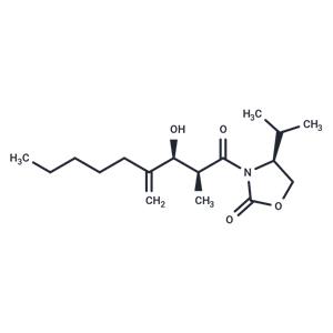 LMT-28