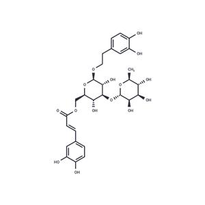 Isoacteoside