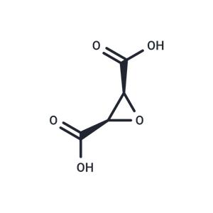 cis-Epoxysuccinic acid