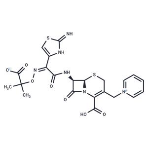 Ceftazidime