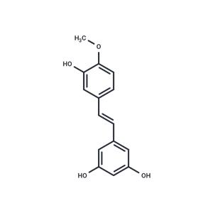 Rhapontigenin