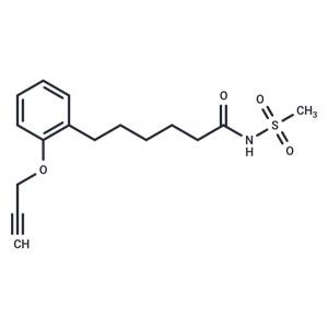 MS-PPOH