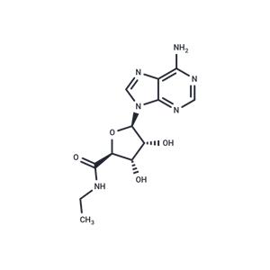 5'-N-Ethylcarboxamidoadenosine