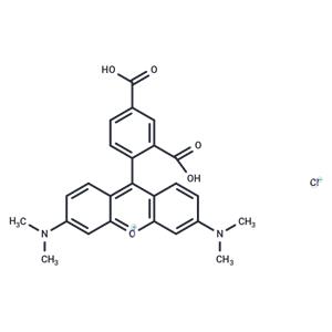 5-TAMRA chloride(91809-66-4 free base)