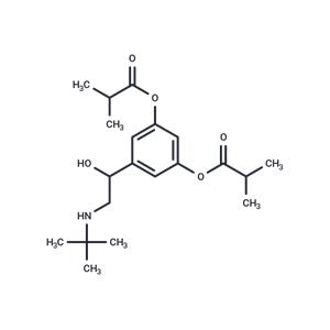 ibuterol