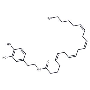 N-Arachidonyldopamine