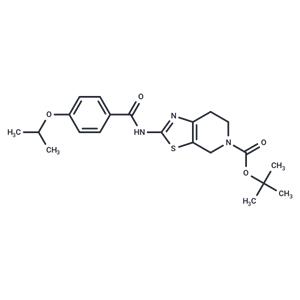 Autogramin-2