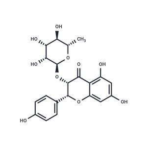 Isoengeletin