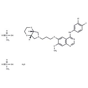 Larotinib mesylate hydrate