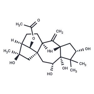 Grayanotoxin IV