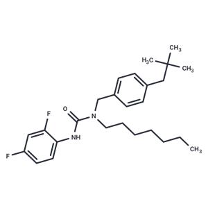 CL 277082