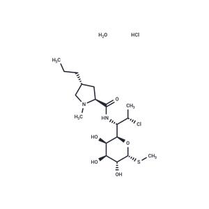 Clindamycin hydrochloride monohydrate