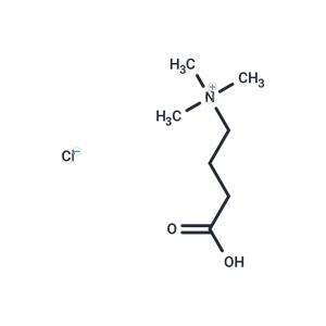 (3-Carboxypropyl)trimethylammonium chloride