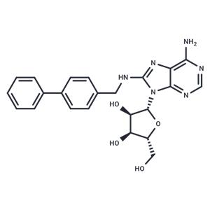 CNT2 inhibitor-1