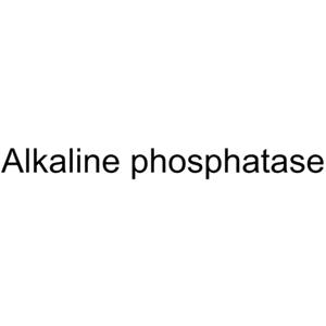 Alkaline Phosphatase