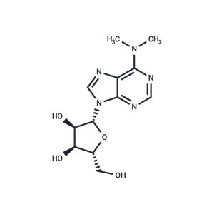 N6,N6-Dimethyladenosine