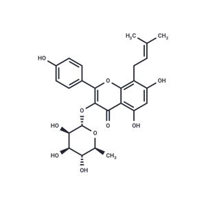 IKarisoside A