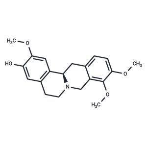 (R)-(+)-Corypalmine