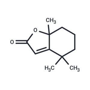 Dihydroactinidiolide