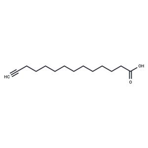 Alkynyl myristic acid