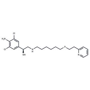 (+)-Picumeterol