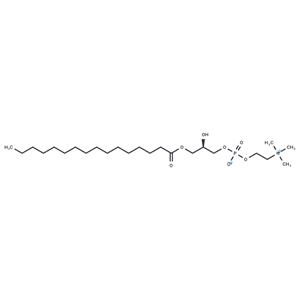 1-Palmitoyl-sn-glycero-3-phosphocholine