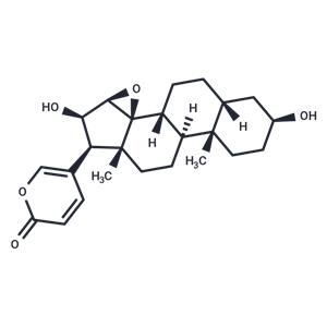 Desacetylcinobufagin