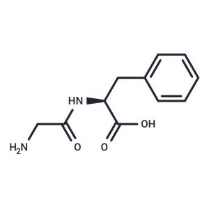 Glycyl-L-phenylalanine