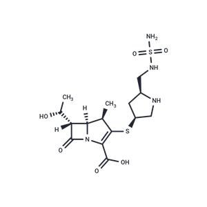 Doripenem