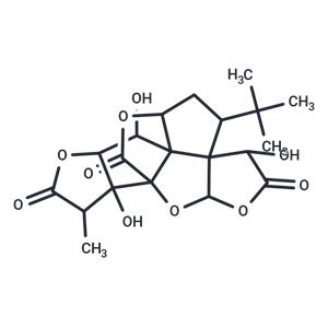 Ginkgolide B