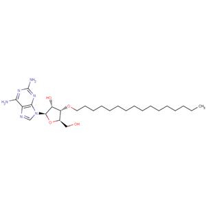 3’-O-Hexadecanyl-2-aminoadenosine