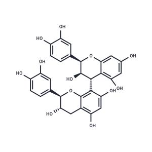 Procyanidin B1