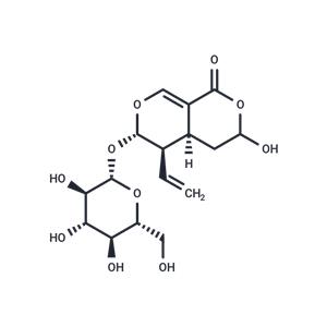 Secologanic acid