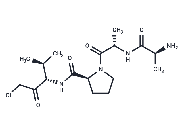 Ala-Ala-Pro-Val-chloromethylketone