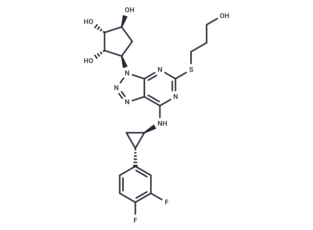 Antiplatelet agent 2