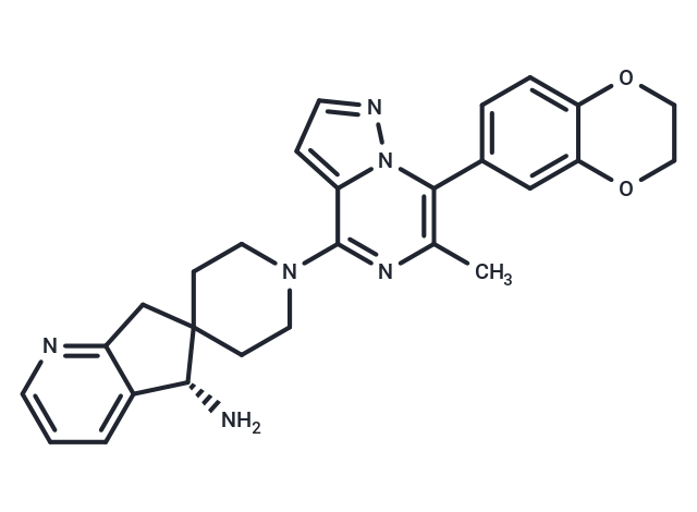 SHP2-IN-19