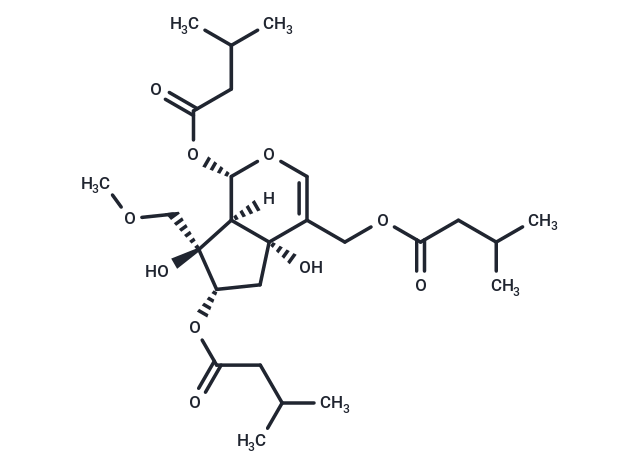 Heterophdoid A