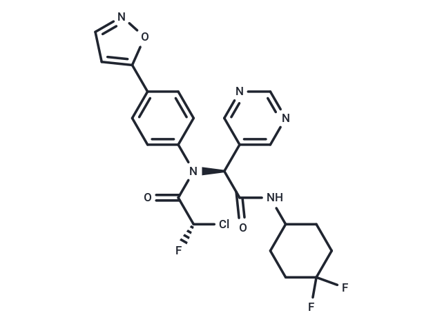 INSCoV-614(1B)