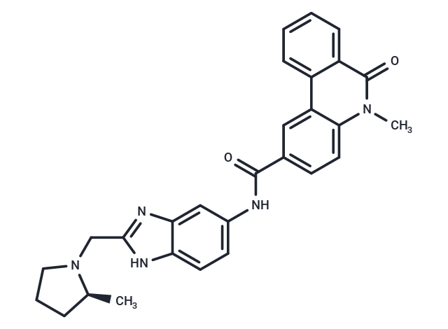 Eleven-Nineteen-Leukemia Protein IN-3