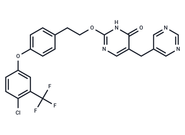 GSK2647544