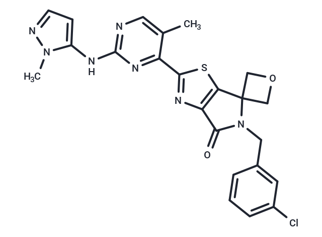 ERK1/2 inhibitor 8