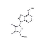 N6-methyladenosine