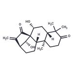 Glaucocalyxin A pictures